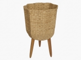 Vietnam seagrass planter